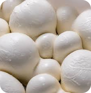 formaggi